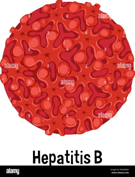 Hepatitis Virus Drawing Stock Vector Images Alamy