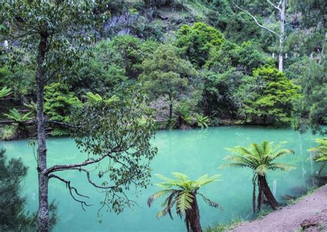 Jenolan Caves, Blue Mountains – Accommodation, things to do & more ...