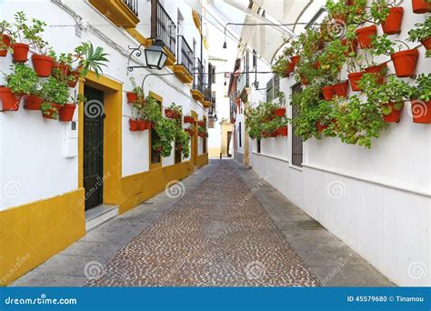 Alley With Many Flower Pots In Cordoba Stock Photo Image Of Alley