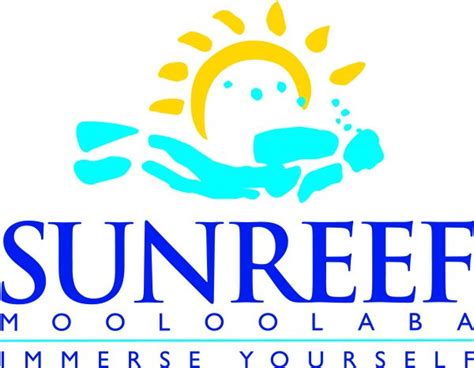 Sunreef Mooloolaba Launches Swimming With Humpback Whales Reflected Image