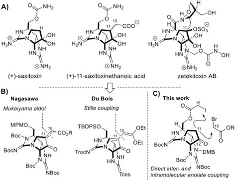 Zetekitoxin Ab Semantic Scholar