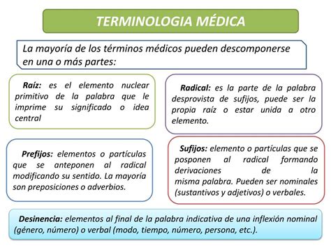 PPT TERMINOLOGIA MÉDICA PowerPoint Presentation free download ID