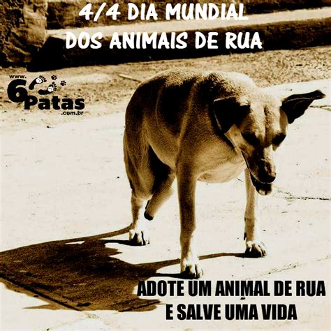 Gladius De Abril Dia Mundial Dos Animais De Rua