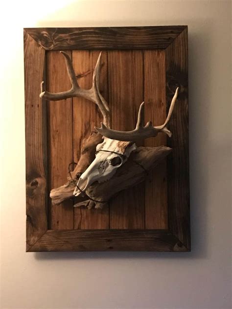 Custom Plaque For European Mount Skulls Horns Taxidermy Etsy