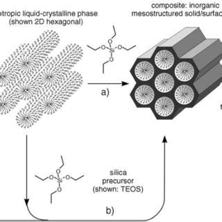 1: Synthesis pathways for mesoporous silica formation [Hoffman et al ...