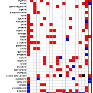 Network Analysis Of Metabolic And Agronomic Traits From The 18 Analyzed