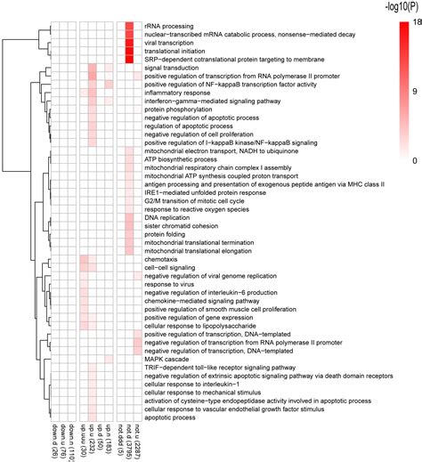 Comparative Transcriptome Analysis Reveals The Intensive Early Stage