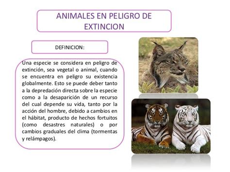 ANIMALES EN PELIGRO DE EXTINCION