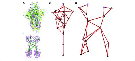 Coarse Grained Models Of The Spike Protein And The Download