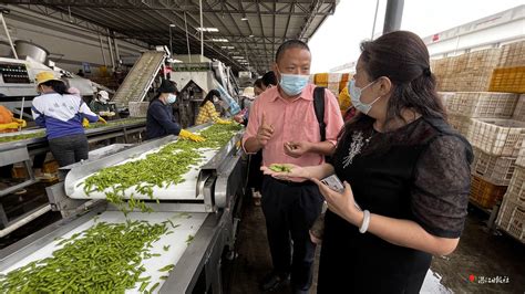 报小拍 农技引领科技志愿者先行 科普助力乡村振兴 湛江云媒（湛江新闻网）