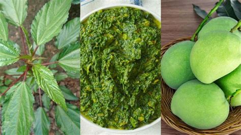 पटुआ साग के फायदे और रेसिपी Patua Saag Or Pattashaak Benefits Recipe