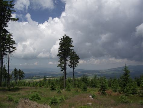 Fotogalerie Mezi Moravou a Českem Horní Orlice pramen Tiché Orlice