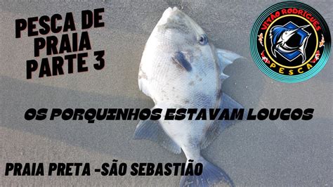 Pesca De Praia Parte Os Porquinhos Estavam Loucos Increva Se