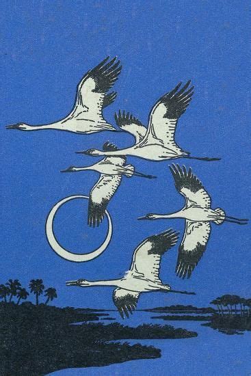 Three White Birds Flying In The Blue Sky