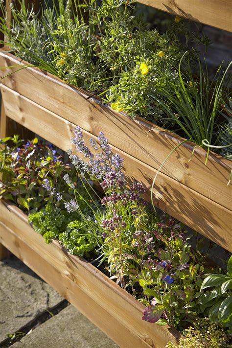 Tom Chambers Herb Garden Planter BATA Ltd