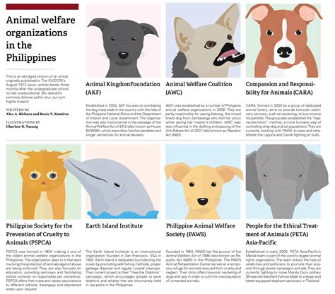 Animal welfare organizations in the Philippines