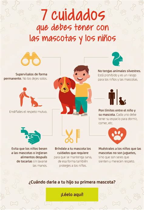7 Cuidados Que Debes Tener Con Las Mascotas Y Los Niños Seguros Sura