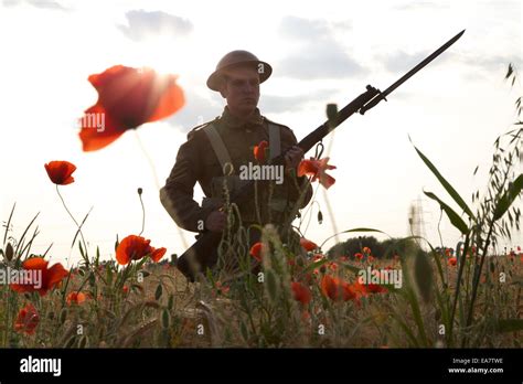 WW1 soldier in poppy field Stock Photo - Alamy