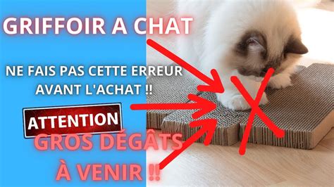 Comment et quel grattoir griffoir arbre à Chat choisir TOP 5 des