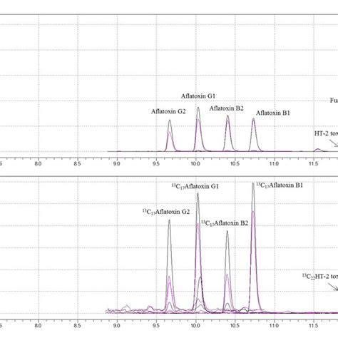 Representative Multiple Reaction Monitoring Chromatograms Of A