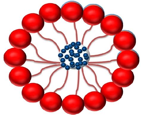 Structure Of Drug Loaded Polymeric Micelle Download Scientific Diagram