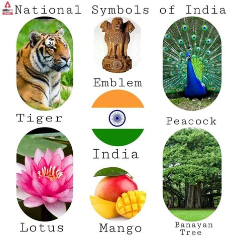National Symbols Of India Part 1 Artofit