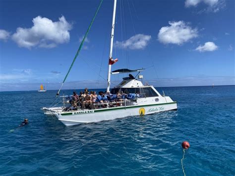 New Afternoon Turtle Snorkeling Tours - Oahu Catamaran