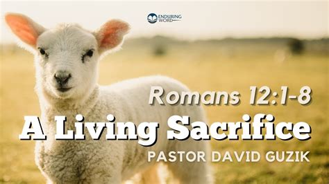 A Living Sacrifice Romans 12 1 8 YouTube