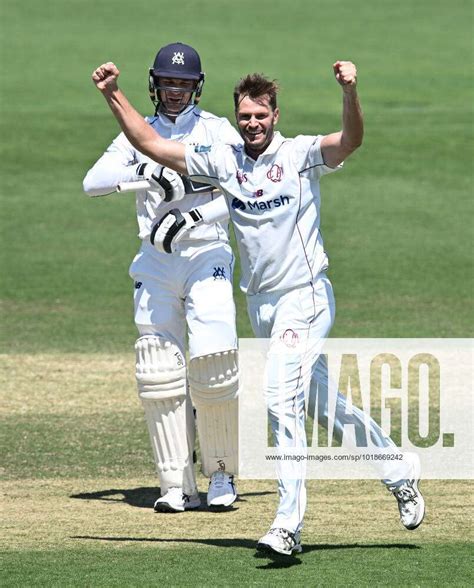 Cricket Shield Qld Vic Mark Steketee Right Of The Bulls Celebrates