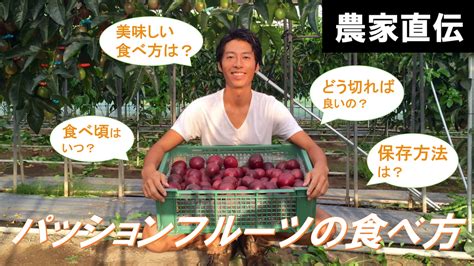 【動画】パッションフルーツの食べ方 Ryosfarm