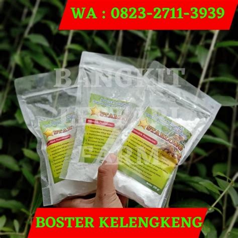 Hp Wa Fast Respon Jual Booster Kelengkeng Alami Ke