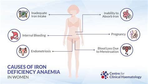 Iron Deficiency Anaemia In Women Centre For Clinical Haematology