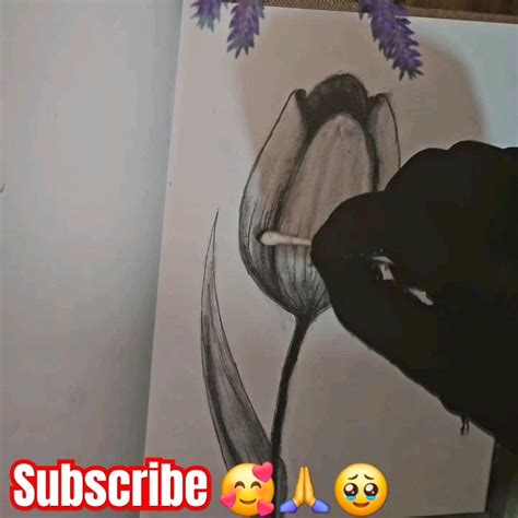 How To Draw A Tulip Shorts Short Shortvideo Subscribe Art Drawing