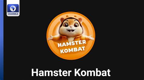 Hamster Kombat Hits M Users Tether Creates Synthetic Dollar Youtube