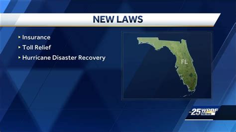 What You Need To Know About The New Florida Laws That Take Effect On Jan 1