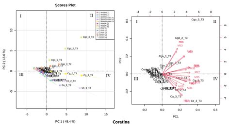 Principal Component Analysis Pca Scores Plot A And Loading Plot