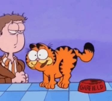 Garfield Jumping For Joy Garfield Jumping For Joy Discover