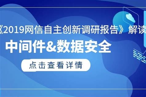 划重点 《2019网信自主创新调研报告》解读之：中间件and数据安全数据库