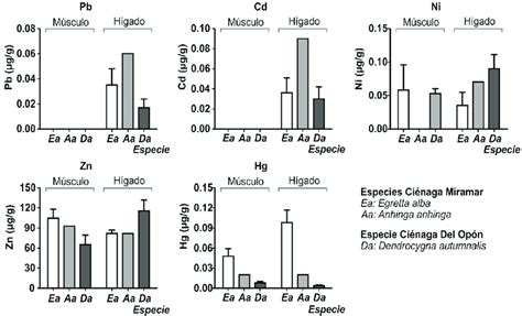 Concentraciones Promedio De Pb Cd Ni Zn Y Hg G G Peso Seco En