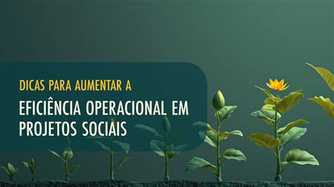 Estrat Gias De Capta O De Recursos Para Projetos Sociais Economato