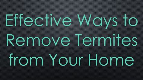 Effective Ways To Remove Termites From Your Home Youtube