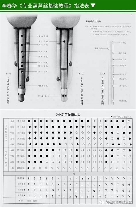 七孔葫芦丝指法入门七孔葫芦丝指法 伤感说说吧