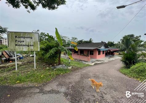 Bernama On Twitter Tinjauan Bernama Di Sekitar Kampung Paya Kenangan