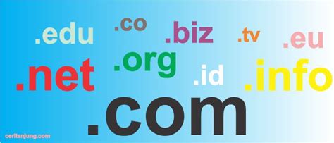 Tips Memilih Nama Domain Yang Bagus