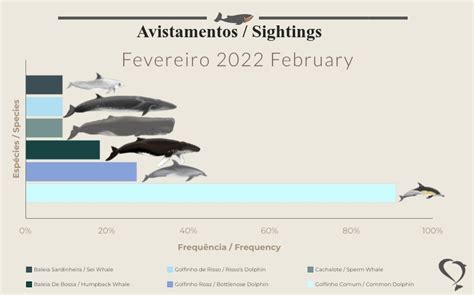 2022 Dolphin Population Graph