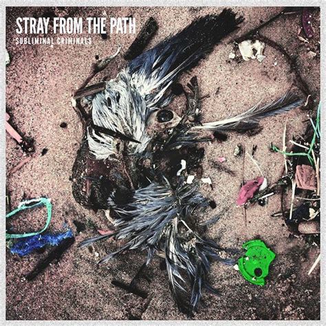 STRAY FROM THE PATH Neuer Song Und Neues Album MoreCore De