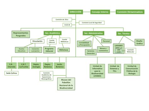 Ibunam Instituto De Biología Unam