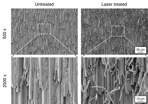 Comparison Of The Untreated And Laser Treated Surface In The Sem Download Scientific Diagram