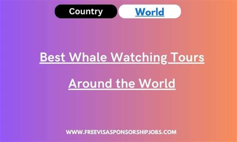 Best Whale Watching Tours Around The World