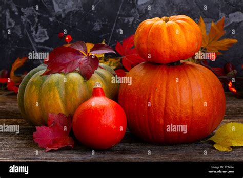 Fall harvest of pumpkins Stock Photo - Alamy